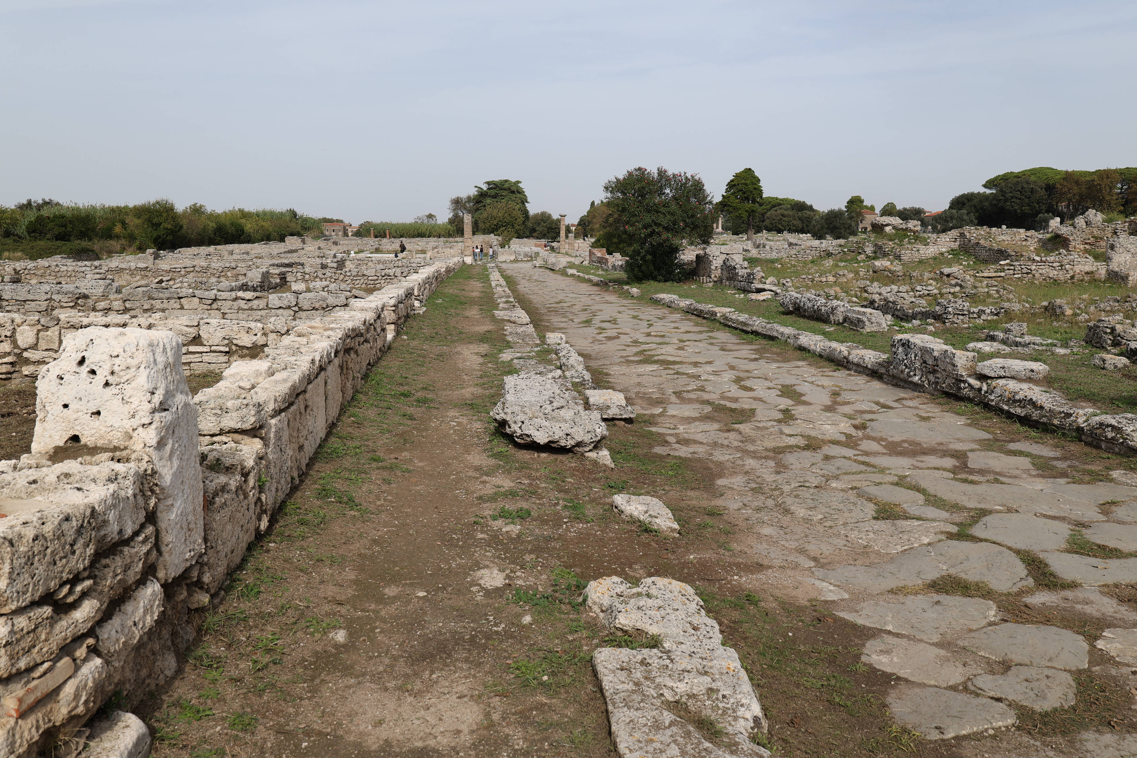 Paestum